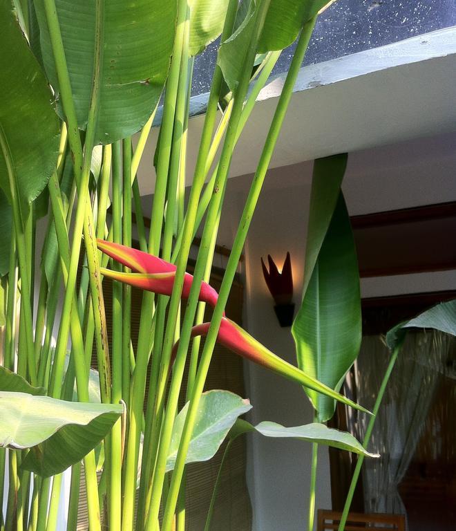 Rumah Cahaya กีลีตราวางัน ห้อง รูปภาพ